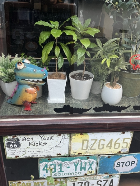 今月のサービス豆